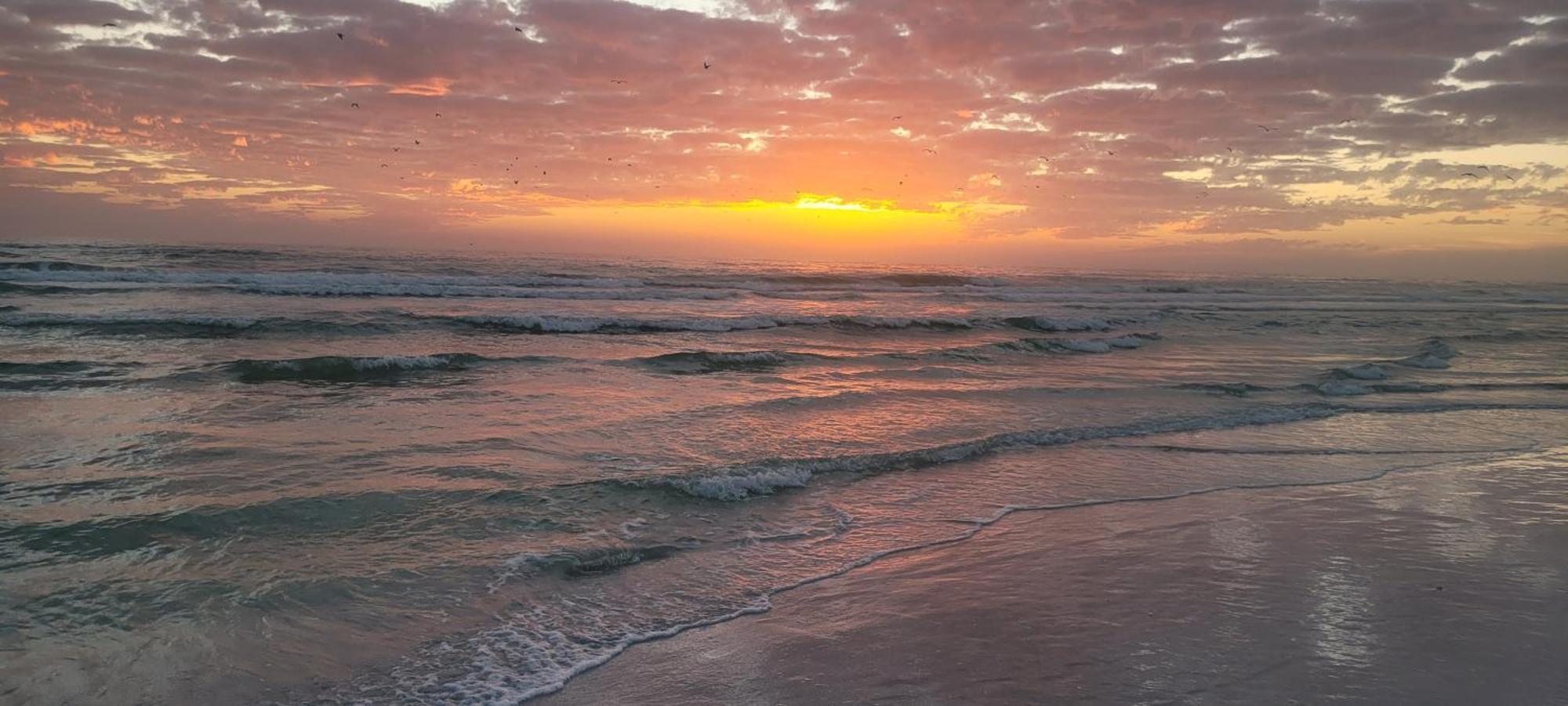Siesta Key Condo - On The Water ! Esterno foto